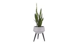 Bloempot met poten