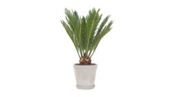 Grijze bloempot